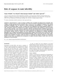 2004- role of caspases in male infertility.pdf