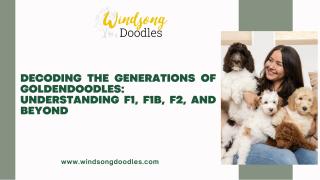 Decoding the Generations of Goldendoodles: Understanding F1, F1B, F2, and Beyond